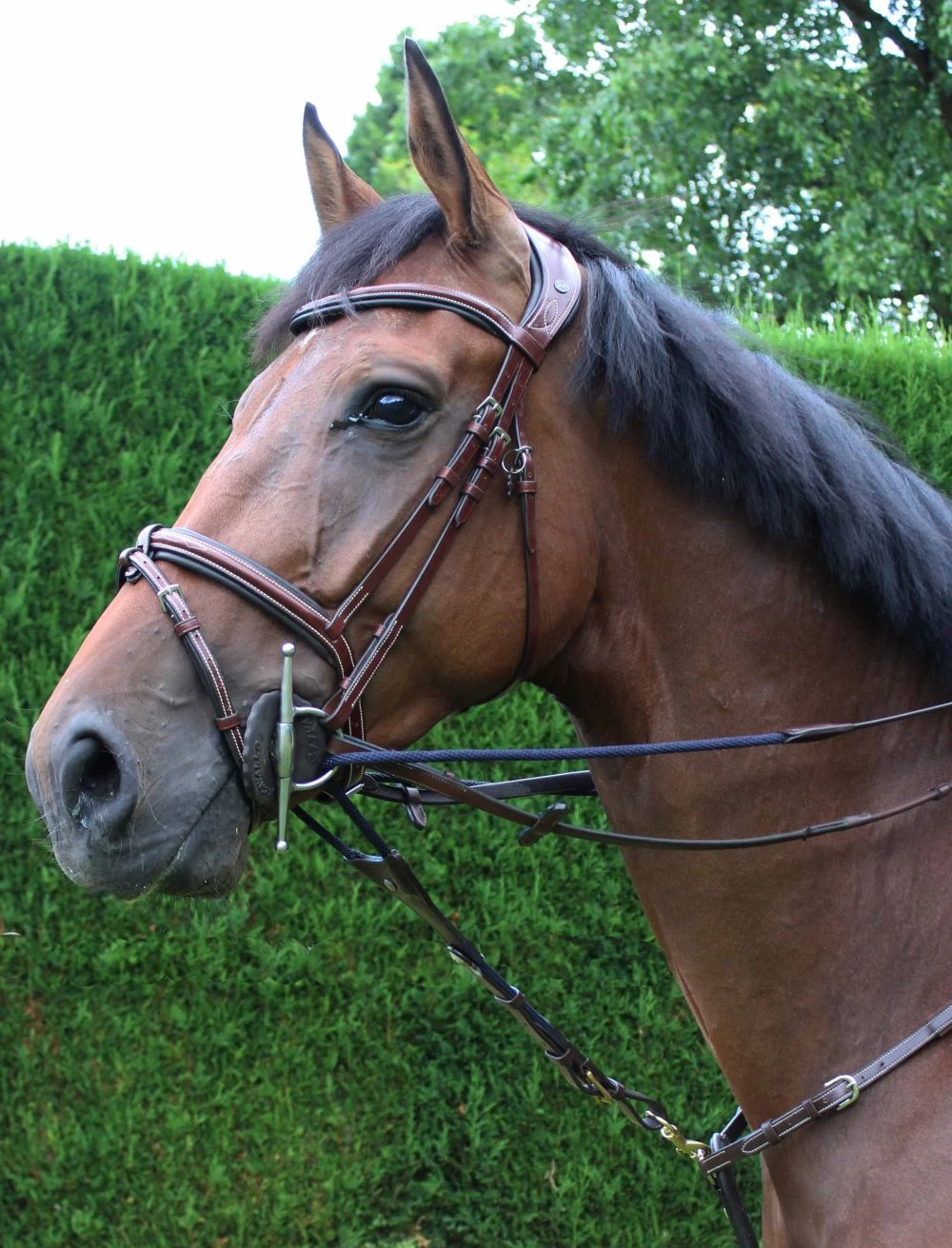 LJ Leathers Jump Assist 2 LJ Leathers Jump Assist - Image 2