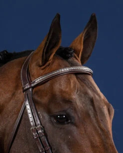 Dyon US Collection Silver Clincher Straight Browband