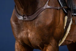 Dyon US Collection Anatomic Breastplate Brown -Equestrian Supplies Store US06BBR 1