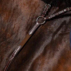 Dyon US Collection Breastplate With Bridge Brown -Equestrian Supplies Store US06DBR2