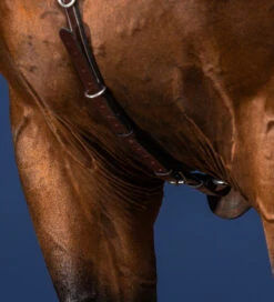 Dyon US Collection Breastplate With Bridge Brown -Equestrian Supplies Store US06DBR3