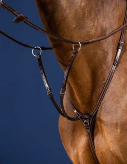 Dyon US Collection Martingale Attachment Brown