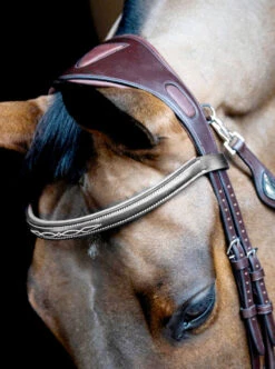 Equiline Anatomical Headpiece