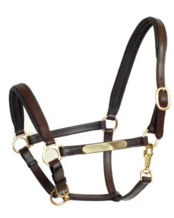 Stallmeister Leather Halter With Name Tag