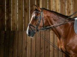 Dyon Working Collection Draw Reins Leather/nylon Black